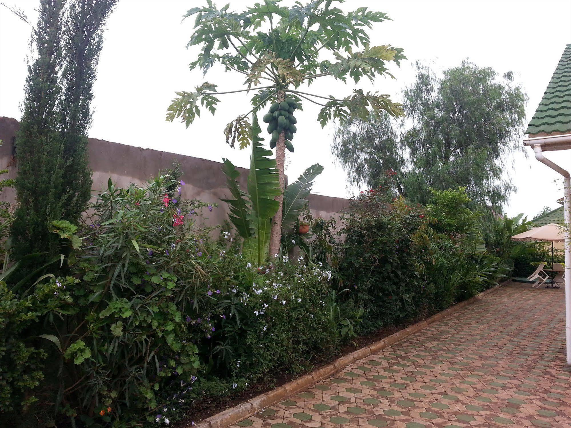 Korona House Hotel Arusha Exterior photo